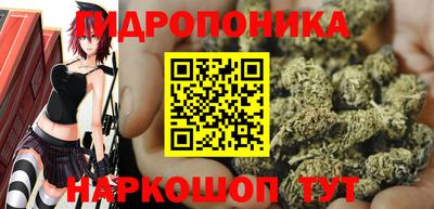 прущие грибы Мариинск