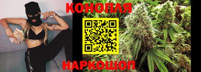 сатива Малгобек
