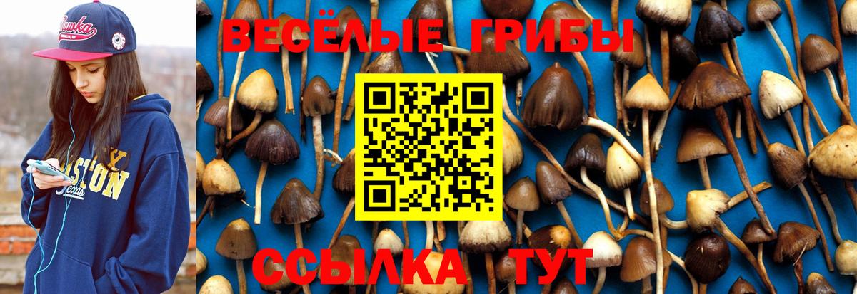 Псилоцибиновые грибы Magic Shrooms Красноперекопск