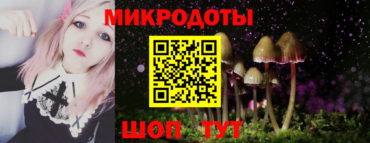 Красноперекопск  Псилоцибиновые грибы Psilocybine cubensis  Вход с VPN 